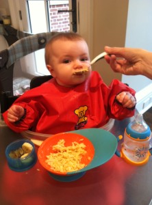 Lucy enjoying her butternut squash again